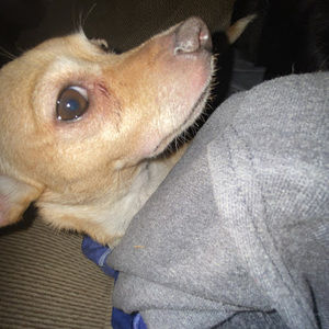 Meet your Posher, Zoe